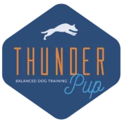 Thunder Pup